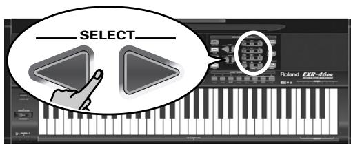 ROLAND EXR-46 OR - Punch I/O - 3