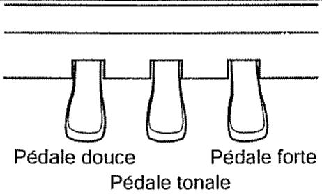 Pédale douce Pédale forte Pédale tonale