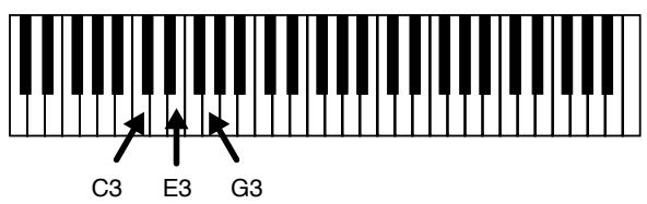 ROLAND JX-305 - Jeu d'accord pour produit des arpèges (Arpégiateur) - 2