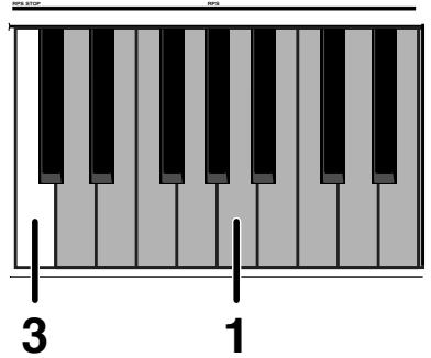 ROLAND JX-305 - Reproduction continue d'une phrase (maintien de RPS ou RPS Hold) - 1