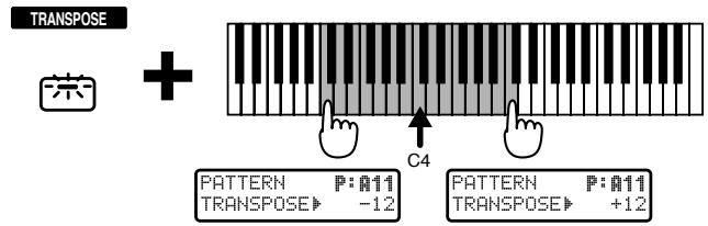 ROLAND JX-305 - Tenez enforcé [TRANSPOSE] et pressez une touche du clavier pour régler la valeur de transposition. - 1