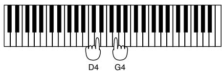 ROLAND JX-305 - Plage: - 1