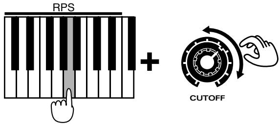 ROLAND JX-305 - Modification de RPS - 1