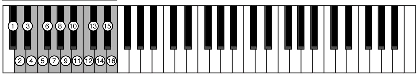 ROLAND JX-305 - Reproduction de phrase par une touche (RPS) - 1