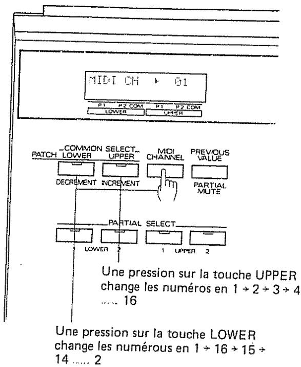 MIDI CH → 01 P1 P2 COM P1 P2 COM LOWER CMER PATCH COMMON SELECT MIDI PREVIOUS LOWER UPPER CHANNEL VALUE DECREMENT INCREMENT PARTIAL MUTE PARTIAL SELECT LOWER 2 1 UPPER 2 Une pression sur la touche UPPER change les numéros en 1 → 2 → 3 → 4 .... 16 Une pression sur la touche LOWER change les numérous en 1 → 16 → 15 → 14 .... 2
