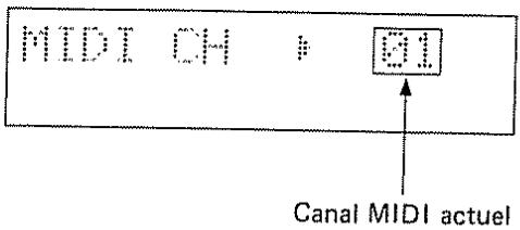 MIDI OH Ø1 Canal MIDI actuel
