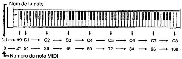 Nom de la note C-1 → A0 C1 → C2 → C3 → C4 → C5 → C6 → C7 → C8 0 → 21 24 → 36 → 48 → 60 → 72 → 84 → 96 → 108 Numéro de note MIDI