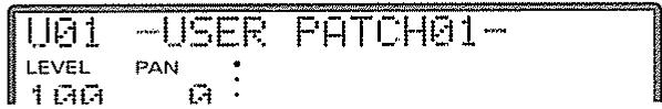 U01 -USER PATCH01- LEVEL PAN : 100 0 :
