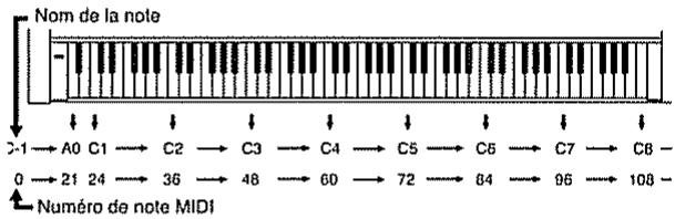 Nom de la note C-1 → A0 C1 → C2 → C3 → C4 → C5 → C6 → C7 → C8 → 0 → 21 24 → 36 → 48 → 60 → 72 → 84 → 96 → 108 → Numéro de note MIDI