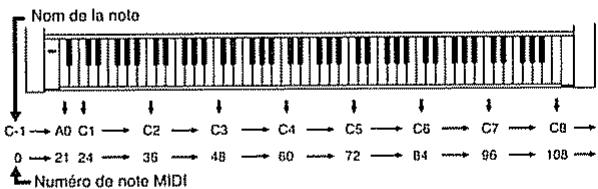 Nom de la note C-1 → A0 C1 → C2 → C3 → C4 → C5 → C6 → C7 → C8 → 0 → 21 24 → 36 → 48 → 60 → 72 → 84 → 96 → 108 → Numéro de note MIDI