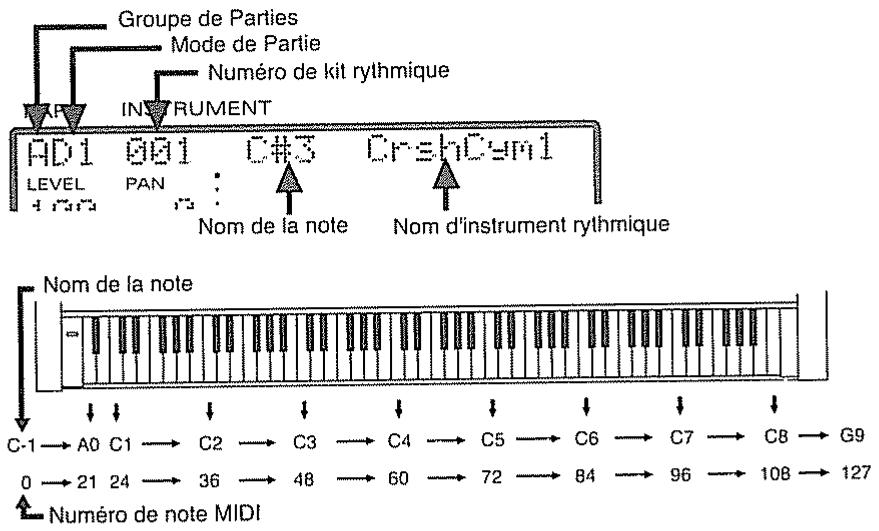 Groupe de Parties Mode de Partie Numéro de kit rythmique INSTRUMENT AD1 001 C#3 CrshCyn1 LEVEL PAN : Nom de la note Nom d'instrument rythmique Nom de la note C-1 → A0 C1 → C2 → C3 → C4 → C5 → C6 → C7 → C8 → G9 0 → 21 24 → 36 → 48 → 60 → 72 → 84 → 96 → 108 → 127 Numéro de note MIDI