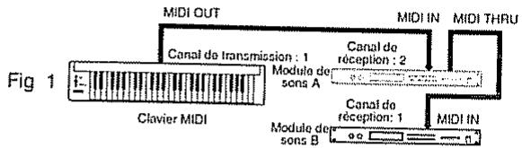 ROLAND SC-8820 - Canaux MIDI et modules de sons multitimbraux - 3