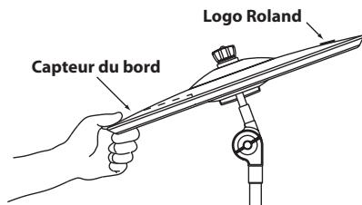 Capteur du bord Logo Roland