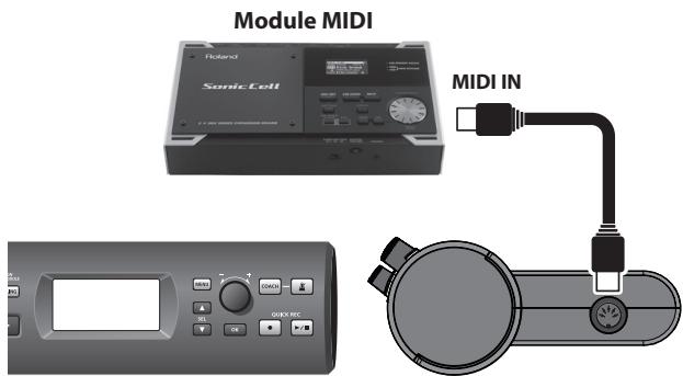 Module MIDI SonicCell MIDI IN