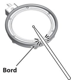 Bord