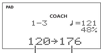 PAD COACH 1-3 J=121 48% 120→176