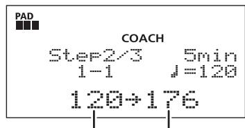 PAD COACH Step2/3 5min 1-1 J=120 120→176