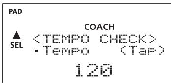 PAD COACH ▲ SEL • Tempo (Tap) 120