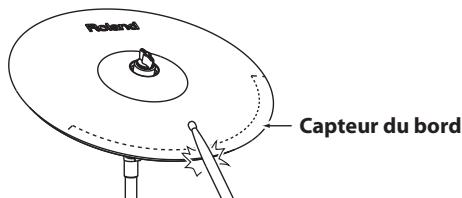 Rolard Capteur du bord