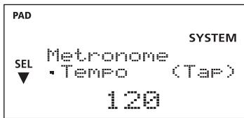 PAD SYSTEM SEL Metronome Tempo (Tap) 120