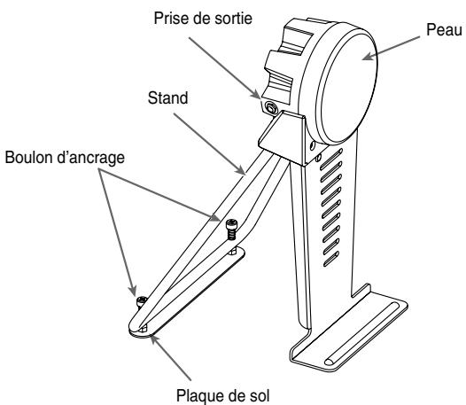 Prise de sortie Peau Stand Boulon d'ancrage Plaque de sol