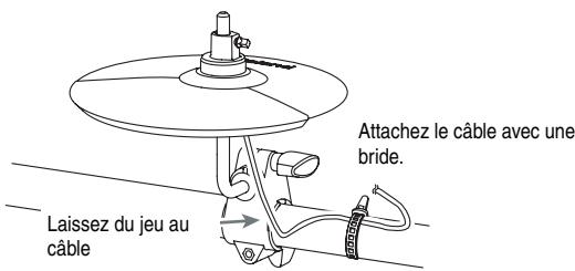 Laissez du jeu au câble Attachez le câble avec une bride.