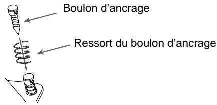 Boulon d'ancrage Ressort du boulon d'ancrage