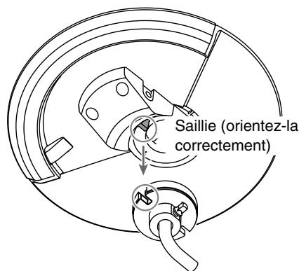 Saillie (orientez-la correctement)