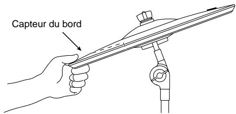 Capteur du bord