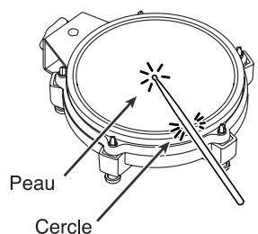 Peau Cercle