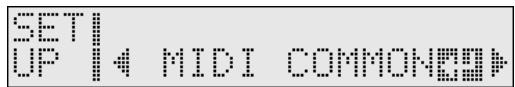 SETI UP | 4 MIDI COMMONES