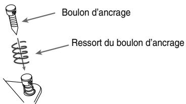 Boulon d'ancrage Ressort du boulon d'ancrage