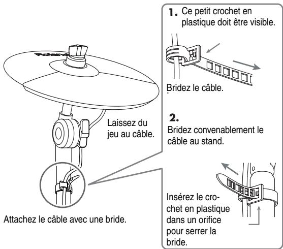 Laissez du jeu au câble. Attachez le câble avec une bride. 1. Ce petit crochet en plastique doit être visible. Bridez le câble. 2. Bridez convenablement le câble au stand. Insérez le crochet en plastique dans un orifice pour serrer la bride.
