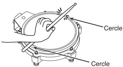 Cercle Cercle