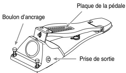 Boulon d'ancrage Plaque de la pédale Prise de sortie