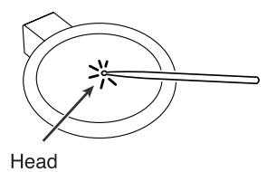 Head