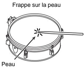 Frappe sur la peau Peau