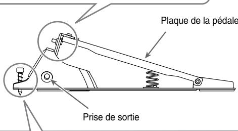 Plaque de la pédale Prise de sortie