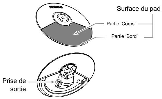 Surface du pad Partie 'Corps' Partie 'Bord' Prise de sortie