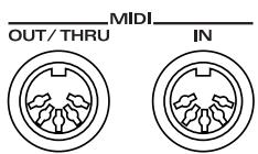 MIDI OUT/THRU IN