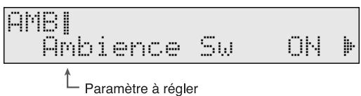 AMBI Ambience Sw ON Paramètre à régler