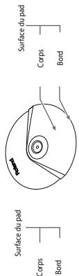 Surface du pad Corps Bord Radial Surface du pad Corps Bord