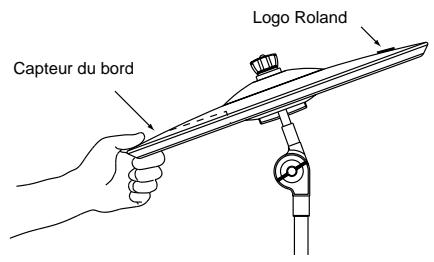 Capteur du bord Logo Roland