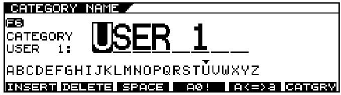 CATEGORY NAME F8 CATEGORY USER 1_ USER 1: ABCDEFGHIJKLMNOPQRSTUVWXYZ INSERT DELETE SPACE A0! A<=3 CATGRY