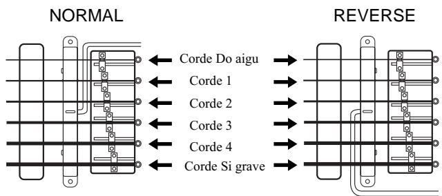 NORMAL ← Corde Do aigu → ← Corde 1 → ← Corde 2 → ← Corde 3 → ← Corde 4 → ← Corde Si grave → REVERSE