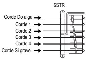 6STR Corde Do aigu → Corde 1 → Corde 2 → Corde 3 → Corde 4 → Corde Si grave →
