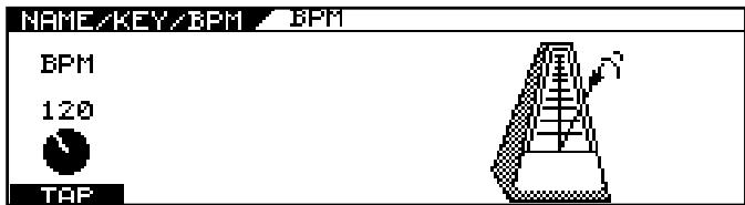 NAME/KEY/BPM BPM 120 TAP