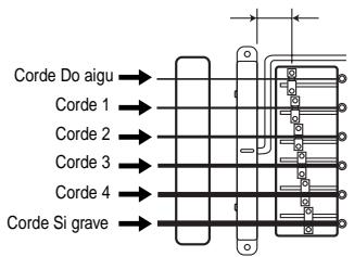 Corde Do aigu → Corde 1 → Corde 2 → Corde 3 → Corde 4 → Corde Si grave →