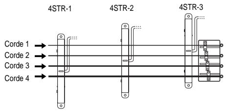 4STR-1 4STR-2 4STR-3 Corde 1 Corde 2 Corde 3 Corde 4