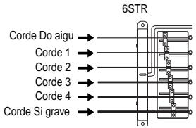 6STR Corde Do aigu → Corde 1 → Corde 2 → Corde 3 → Corde 4 → Corde Si grave →